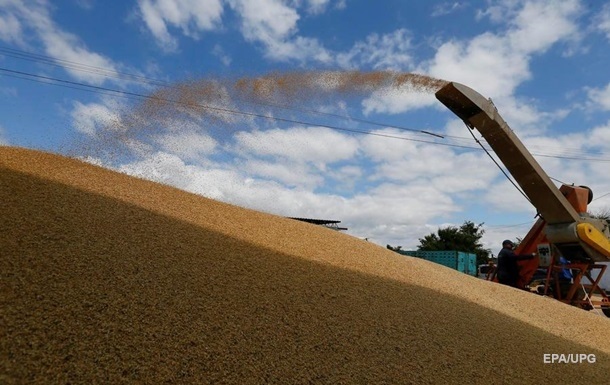 В Украине на четверть вырос экспорт зерновых 