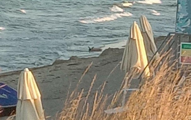 В Болгарии на пляж выбросило ускоритель ракеты Панцирь-С1 