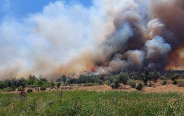 Під Миколаєвом після обстрілів вирує велика лісова пожежа