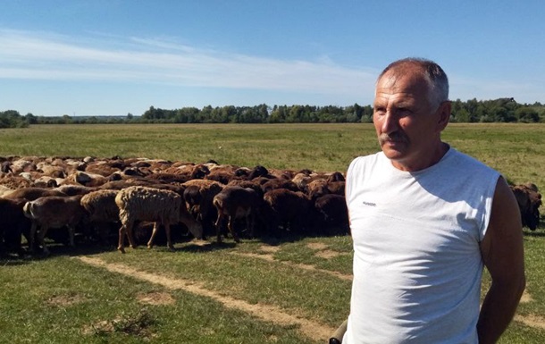 Пастух спас стадо овец, перегнав его из Донбасса на Волынь