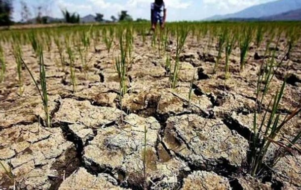 В Молдове вводят режим ЧС из-за засухи