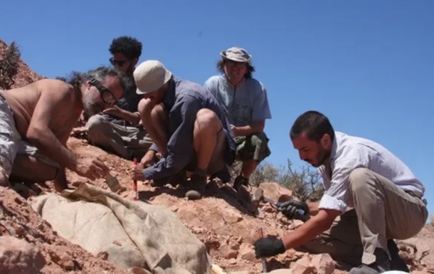 В Аргентине нашли ранее неизвестного бронированного динозавра