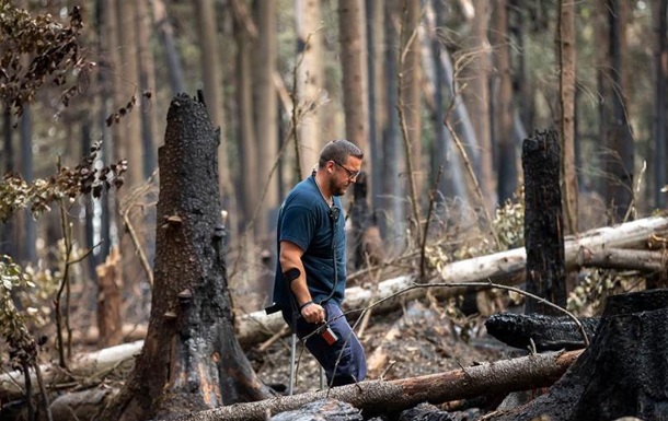 У Європі цьогоріч уже вигоріли рекордних 700 тисяч гектарів лісу