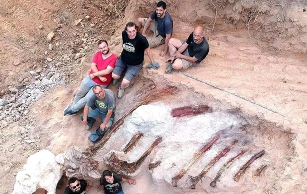Мешканець Португалії знайшов у дворі останки величезного динозавра