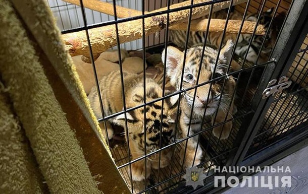 В Киеве полицейские изъяли 400 экзотических животных