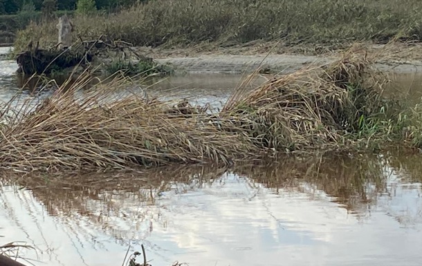 В реке Ингулец зафиксировано химическое загрязнение