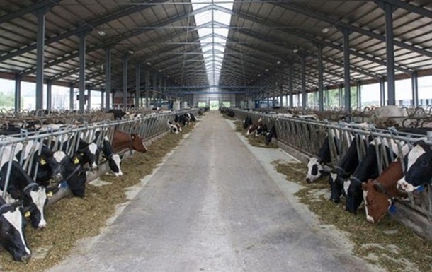 Exports of dairy products reached a record in the last two years