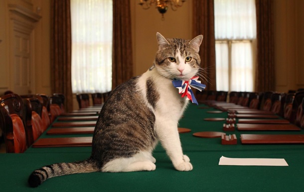 Головний кіт Британії воював з лисицею у резиденції Ліз Трасс