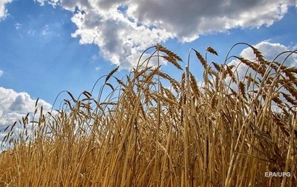 Окупанти почали активніше вивозити викрадене українське зерно – соцмережі