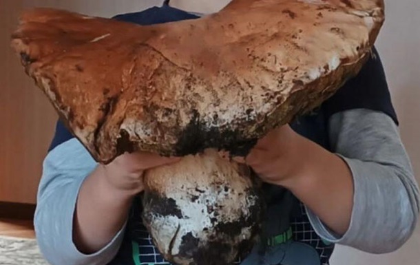 На Волыни нашли гриб-гигант весом четыре килограмма