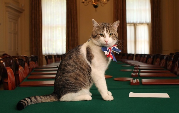 Головний кіт Британії: Король попросив мене стати прем єром