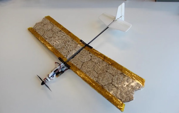 Швейцарські вчені створили їстівний дрон