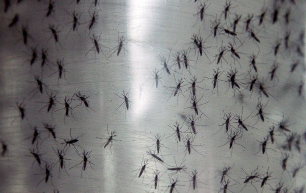 В ОК Юг подхватили троллинг от Минообороны о комарах