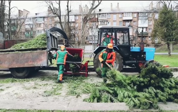 В Киеве создадут 17 пунктов утилизации елок