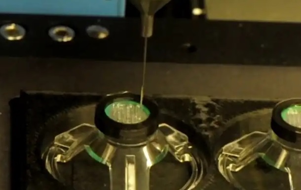Ученые на 3D-принтере смогли напечатать ткань глаза