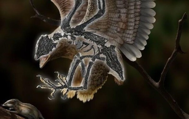 Paleontologists found a bird with a dinosaur head
