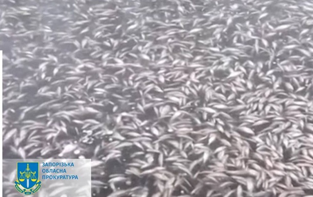 Через обстріл греблі Каховської ГЕС у Дніпрі масово гине риба