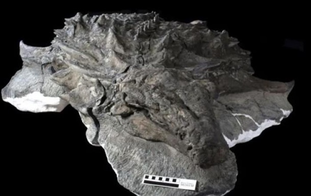 Археологи знайшли морду динозавра, покриту шкірою