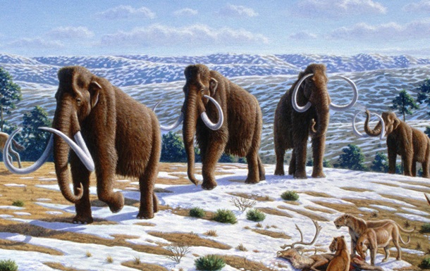 First woolly mammoth clone to appear in 2027 – scientists