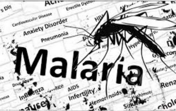 На Кіровоградщині зареєстровано перший випадок підозри на малярію