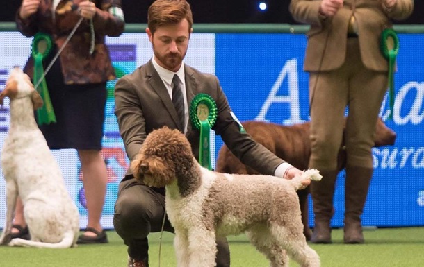 Собака редкой породы завоевала самый знаменитый титул в мире
