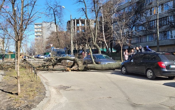 В Киеве от шквального ветра падают деревья и  мигает  свет - СМИ