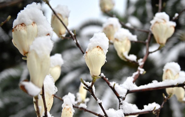 Синоптики прогнозируют снег в большинстве регионов Украины