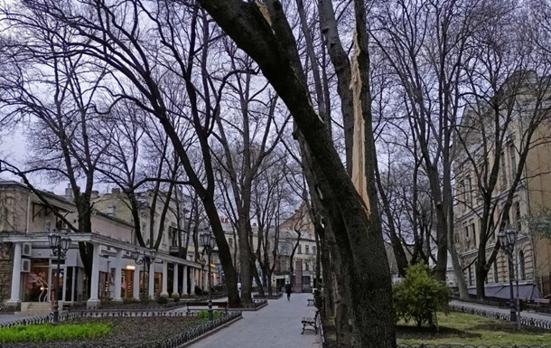 В Одессе ветер  наломал дров : повреждены и повалены более 100 деревьев