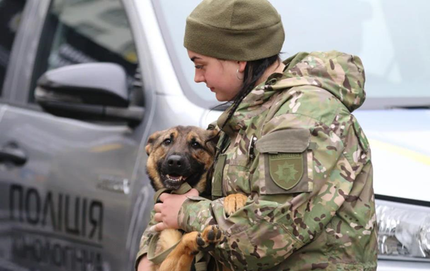 Нідерланди передали поліції Київщини 11 собак-саперів