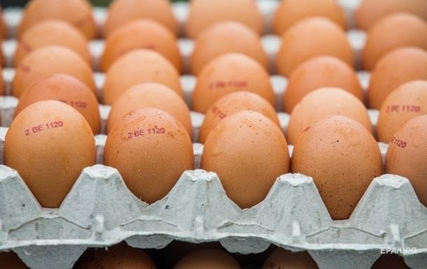 The Ministry of Agrarian Policy predicts a drop in prices for eggs by 20-40%