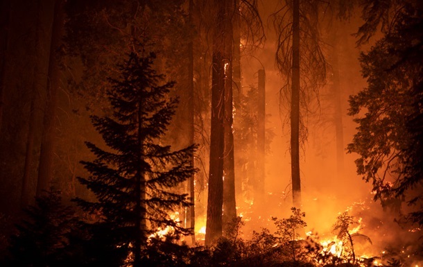 На півдні Китаю спалахнула масштабна лісова пожежа