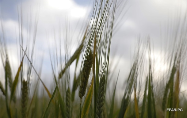 Удар в спину. Соседи блокируют зерно из Украины