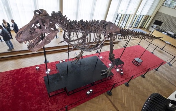 У Швейцарії з молотка пішов скелет динозавра за 6,1 млн доларів