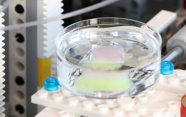 Ученые создали машину из Lego, которая может выращивать человеческую кожу