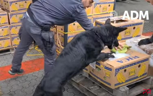 In an Italian port, the dog helped find nearly three tons of cocaine