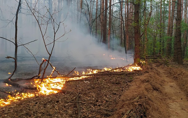 У Чернігівські області через обстріли - масштабні лісові пожежі