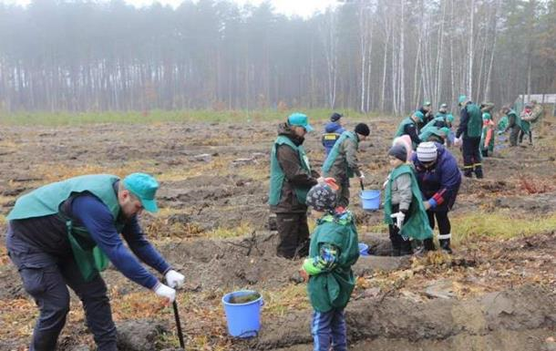 Велика різниця: чому українці садять дерева не так, як в ЄС