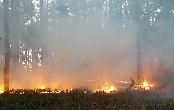 На Чернігівщині тривають масштабні лісові пожежі