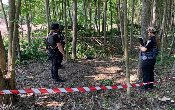 У лісі на Київщині знайшли нерозірвану бойову частину  шахеда 