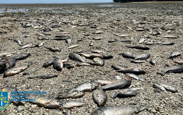 Підрив ГЕС: на Дніпропетровщині масово гине риба