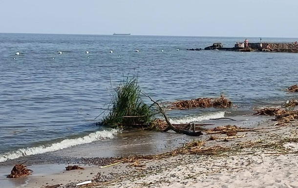В Одесі солоність моря на пляжах впала майже втричі - мерія