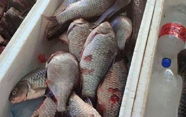 В Одессе начались проверки рыбы на рынках