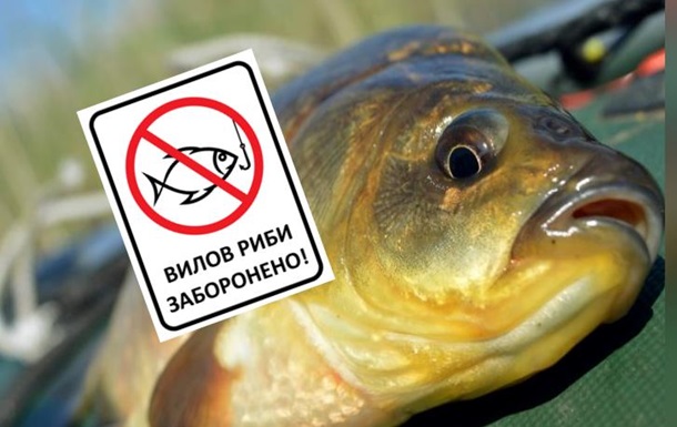 У водоймах півдня України заборонили вилов риби