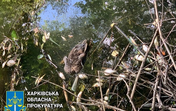 Под Харьковом зафиксирована массовая гибель рыбы и диких уток