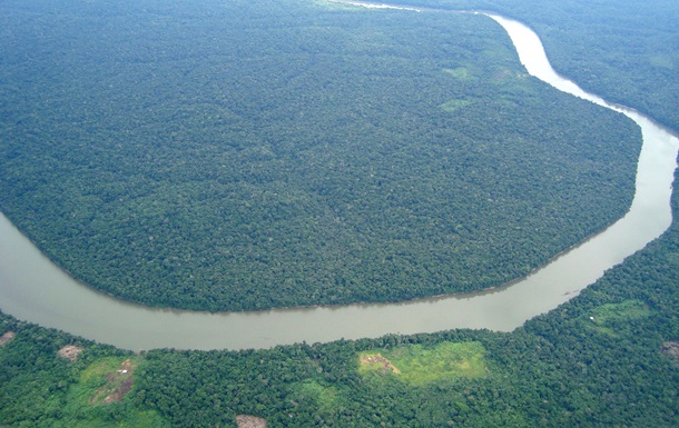 Ді Капріо і Безос пожертвували $200 мільйонів на захист лісів Амазонки