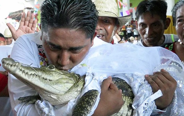 Мэр мексиканского города женился на крокодилихе
