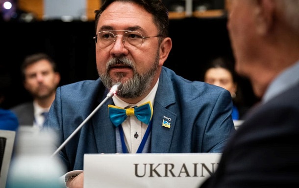 Нардепа Потураєва призначили віцепрезидентом Парламентської Асамблеї ОБСЄ