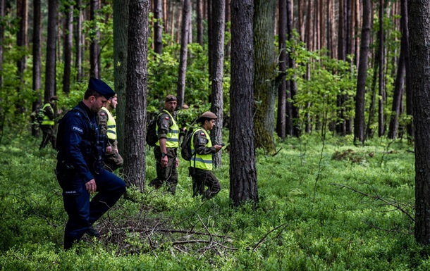 У лісі в Польщі впав військовий дрон США - ЗМІ