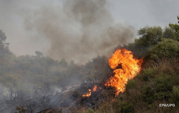 Лісові пожежі в Алжирі: загинули понад 30 людей