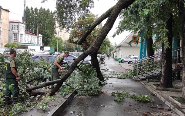 Негода у Харкові: повалено понад 100 дерев
